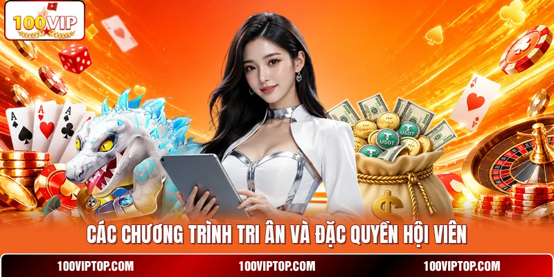 Các chương trình tri ân và đặc quyền hội viên Các chương trình tri ân và đặc quyền hội viên
