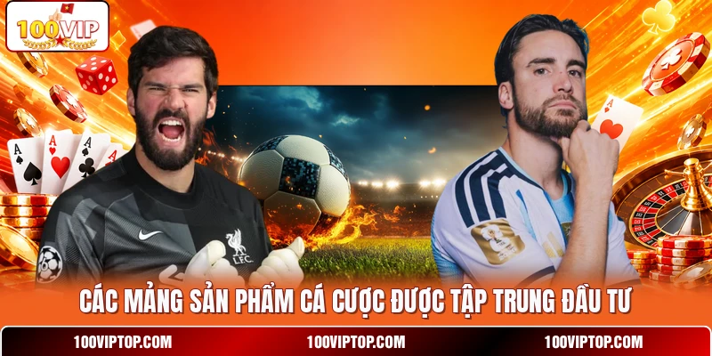 Các mảng sản phẩm cá cược được tập trung đầu tư Các mảng sản phẩm cá cược được tập trung đầu tư
