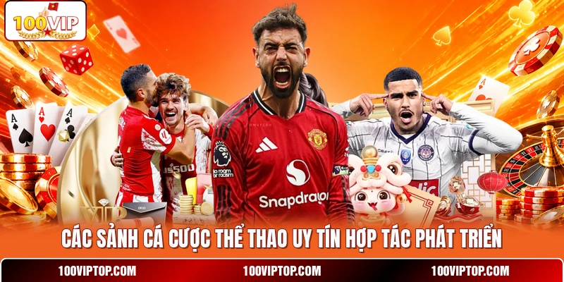Các sảnh cá cược thể thao uy tín hợp tác phát triển